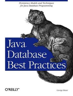 Java Database Best Practices Persistence Models and Techniques for Java Database Programming  9780596005221 Front Cover