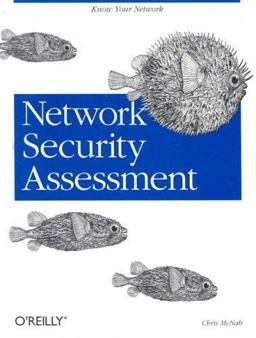 Network Security Assessment