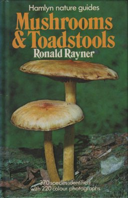 Mushrooms and Toadstools