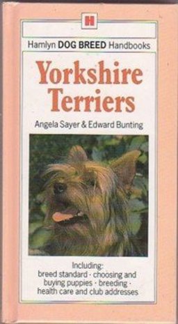 Yorkshire Terriers