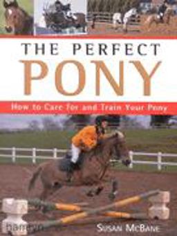 The Perfect Pony