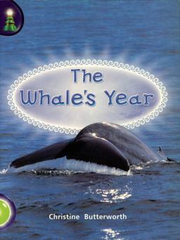 Lighthouse: Year 1 Green - The Whale's Year