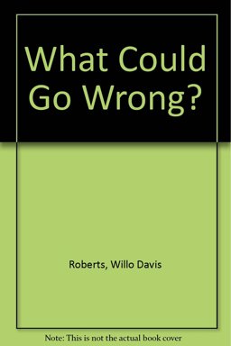 What Could Go Wrong?