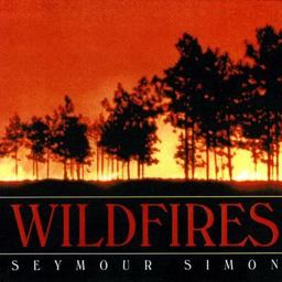 Wildfires
