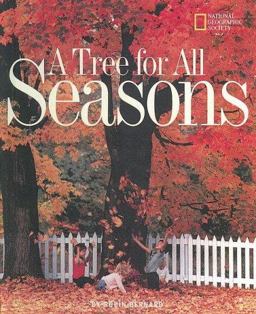 Tree for All Seasons