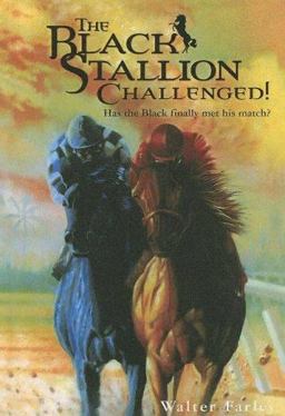 The Black Stallion Challenged!