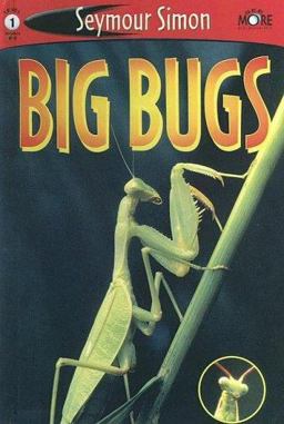 Big Bugs