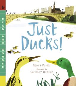 Just Ducks!