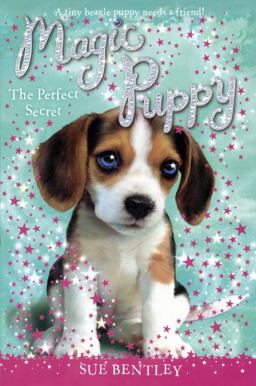 The Perfect Secret The Perfect Secret