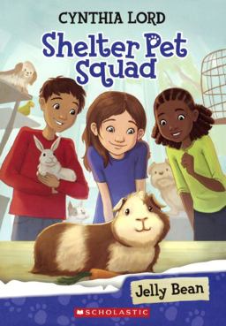 Jelly Bean Jelly Bean