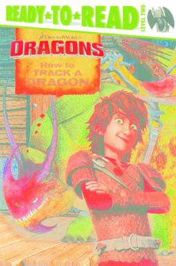 How to Track a Dragon