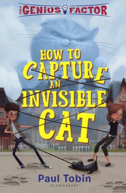 How to Capture an Invisible Cat