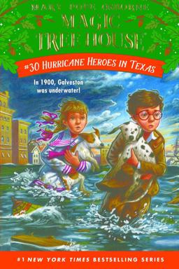 Hurricane Heroes in Texas