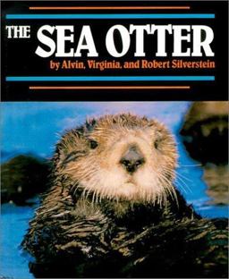 Sea Otter