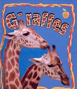 Giraffes Giraffes