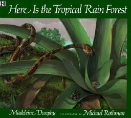 Here Is the Tropical Rain Forest