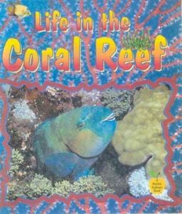 Life in the Coral Reef Life in the Coral Reef