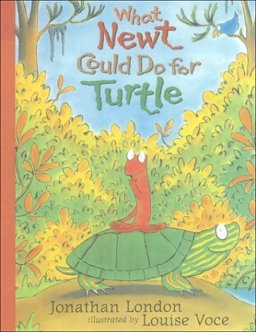 What Newt Could Do for Turtle