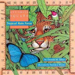 Tropical Rain Forest