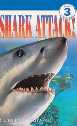 Shark Attack!