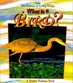 What Is a Bird? What Is a Bird?