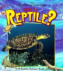 What Is a Reptile? What Is a Reptile?