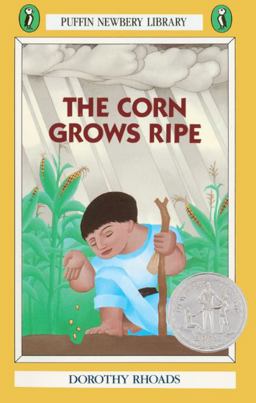 Corn Grows Ripe