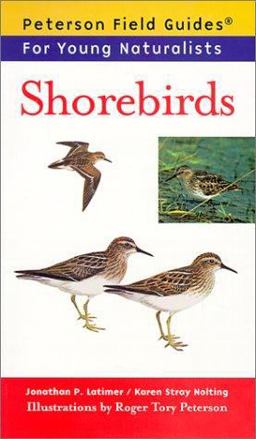 Shorebirds
