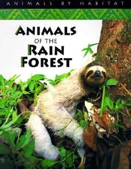 Animals of the Rain Forest