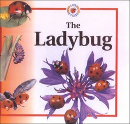 The Ladybug