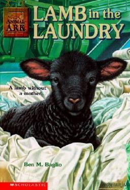 Lamb in the Laundry