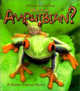 What Is an Amphibian? What Is an Amphibian?