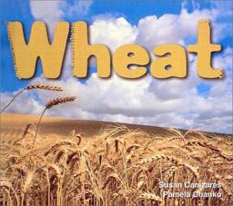 Wheat