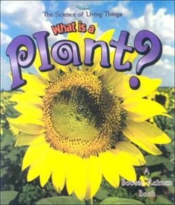 What Is a Plant? What Is a Plant?