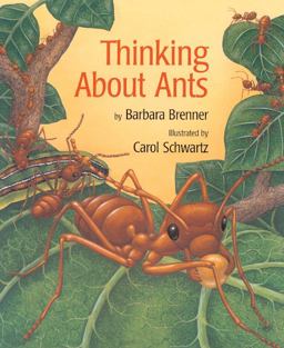 Thinking about Ants