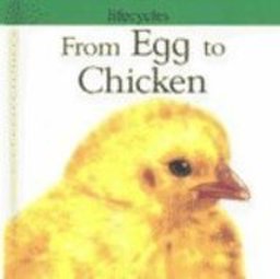From Egg to Chicken