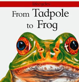 From Tadpole to Frog