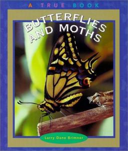 Butterflies and Moths