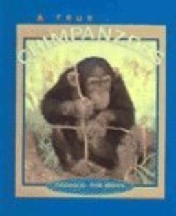 Chimpanzees