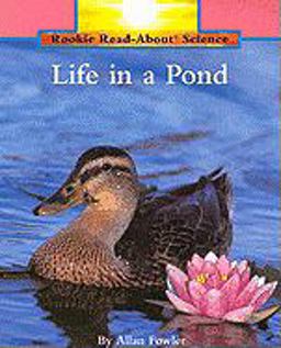 Life in a Pond