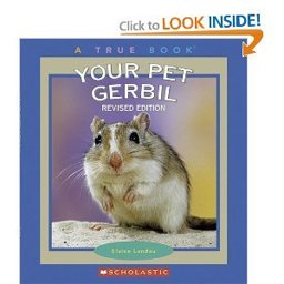 Your Pet Gerbil