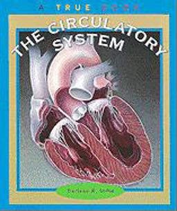 Circulatory System