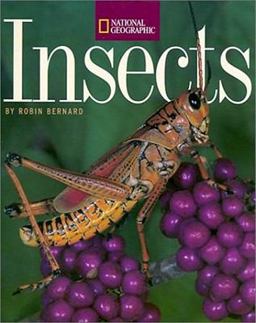 Insects