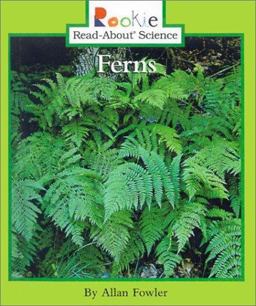Ferns