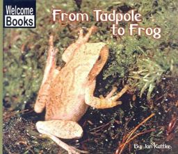 From Tadpole to Frog