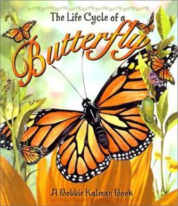 Life Cycle of a Butterfly Life Cycle of a Butterfly