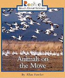 Animals on the Move