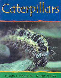 Caterpillars