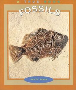 Fossils