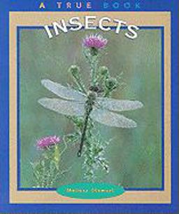 Insects